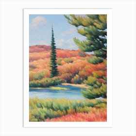 Radiata Pine Tree Watercolour 2 Art Print