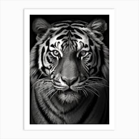 Black And White Photograph Of A Tiger Face Art Print