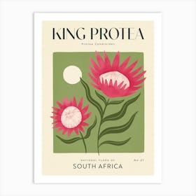 Vintage Green And Pink King Protea Flower Of South Africa 1 Art Print