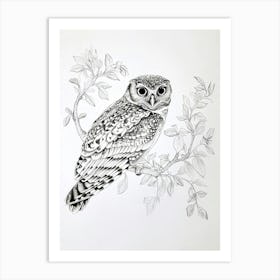 Burmese Fish Owl Drawing 1 Art Print