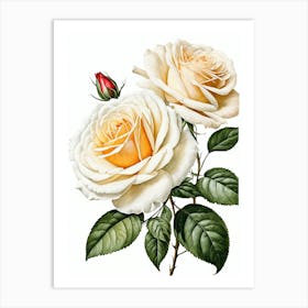 Vintage Galleria Style Rose Art Painting 7 Art Print