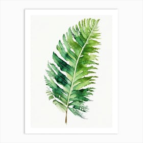 Tassel Fern Watercolour Art Print