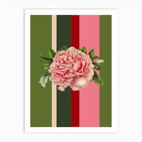 Belle Botanica 7 Peony Art Print