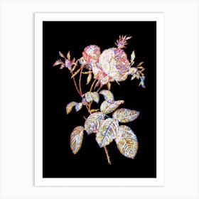 Stained Glass Pink Cabbage Rose de Mai Mosaic Botanical Illustration on Black Art Print