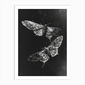 Two Moths 3 Art Print