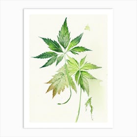Stinging Nettle Herb Minimalist Watercolour Art Print