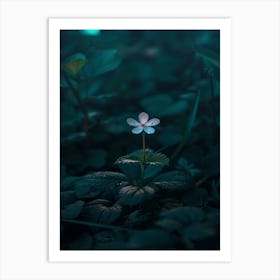 Flower In The Dark 5 Art Print