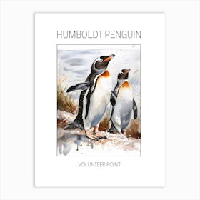 Humboldt Penguin Volunteer Point Watercolour Painting 2 Poster Art Print