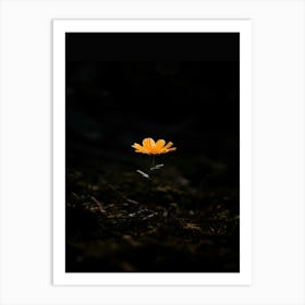 Single Flower In The Dark 15 Art Print