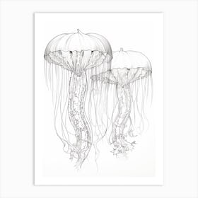 Comb Jellyfish Drawing 1 Art Print