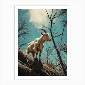 Goat On A Tree Art Print