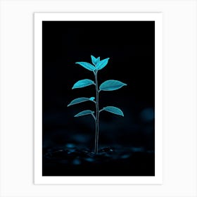 Plant Growing On A Dark Background Art Print