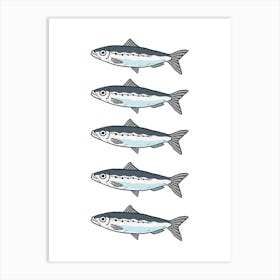 Sardine . New Zealand Art Print