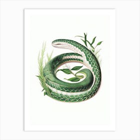 Grass Snake 1 Vintage Art Print