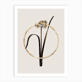 Gold Ring Cowslip Cupped Daffodil Glitter Botanical Illustration n.0353 Art Print