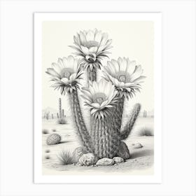 Vintage Cactus Illustration Ferocactus Cactus B&W Art Print