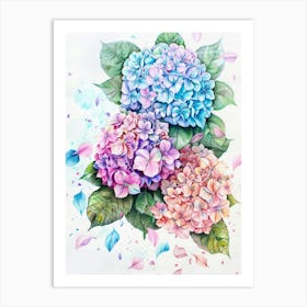 Hydrangeas Art Print