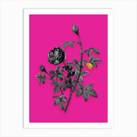 Vintage Moss Rose Black and White Gold Leaf Floral Art on Hot Pink n.0763 Art Print