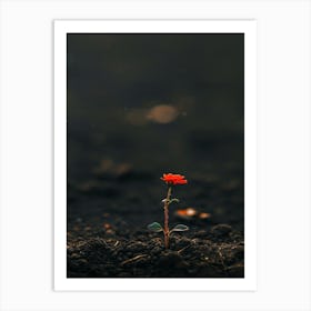 Single Red Flower 16 Art Print