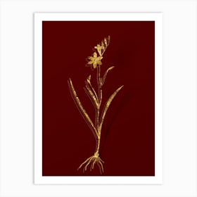 Vintage Ixia Secunda Botanical in Gold on Red n.0068 Art Print