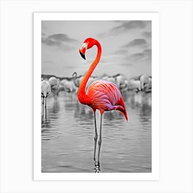 Flamingos 3 Art Print