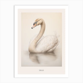 Vintage Bird Drawing Swan 3 Poster Art Print