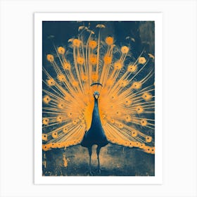Orange & Blue Peacock With Feathers Out Art Print