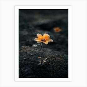 Flower Photography Art Print