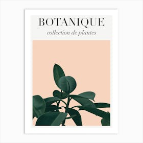 Botanique Leaves Art Print