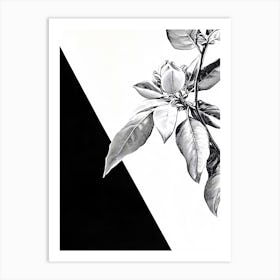 Black And White Drawing Of A Flower Art Print