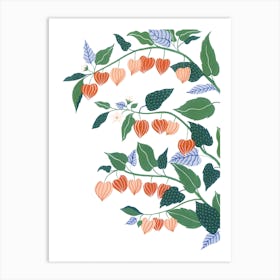 Chinese Lantern Plant Botanical Painting Art Print