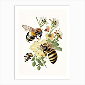 Forager Bees Vintage Art Print