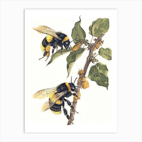 Leafcutter Bee Storybook Illustration 20 Art Print