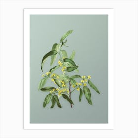 Vintage Russian Olive Botanical Art on Mint Green n.0858 Art Print