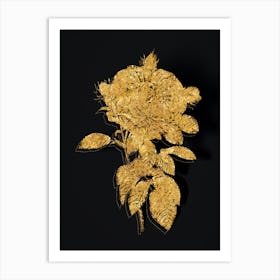 Vintage Giant French Rose Botanical in Gold on Black n.0362 Art Print