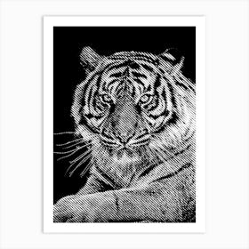 Tiger Close Up BW in my Line Illustration Art Print