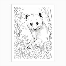 Line Art Jungle Animal Coati 1 Art Print