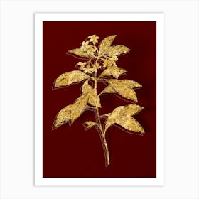 Vintage Sweet Pittosporum Branch Botanical in Gold on Red n.0484 Art Print