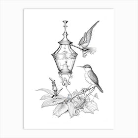 Hummingbird And Hummingbird Feeder Vintage Botanical Line Drawing Art Print