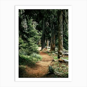 Forest Trail Art Print