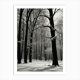 Winter Forest 3 Art Print