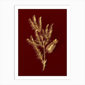 Vintage Swamp Paperbark Branch Botanical in Gold on Red n.0156 Art Print