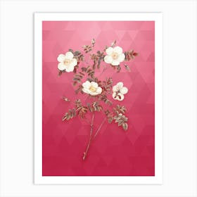 Vintage White Candolle's Rose Botanical in Gold on Viva Magenta n.0608 Art Print