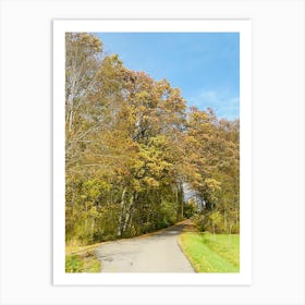 Autumn Leaves On A Road Art Print