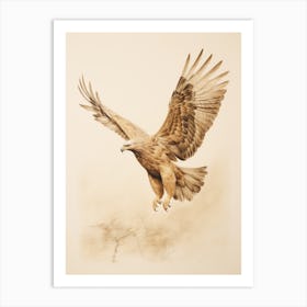 Vintage Bird Drawing Eagle 2 Art Print