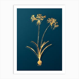 Vintage Nerine Botanical in Gold on Teal Blue Art Print