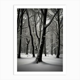 Winter Forest 6 Art Print