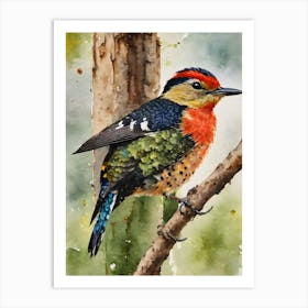 Buff Rumped Woodpecker Art Print