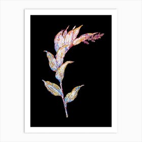 Stained Glass Treacleberry Mosaic Botanical Illustration on Black n.0072 Art Print