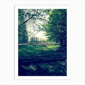 Meat 5 Bar Gate To The Woods Field Countryside Art Print